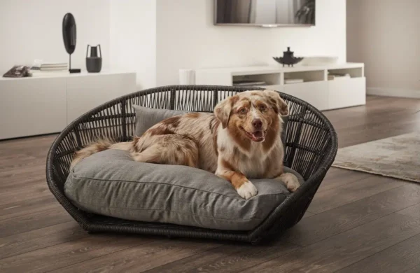 Lit design pour chien – PRADO